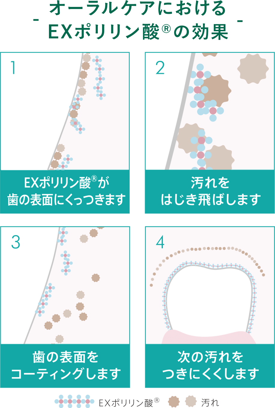 オーラルケアにおけるEXポリリン酸®️の効果